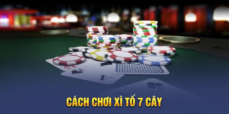 Cách chơi Poker 7 lá cơ bản và những bí quyết chơi hiệu quả nhất