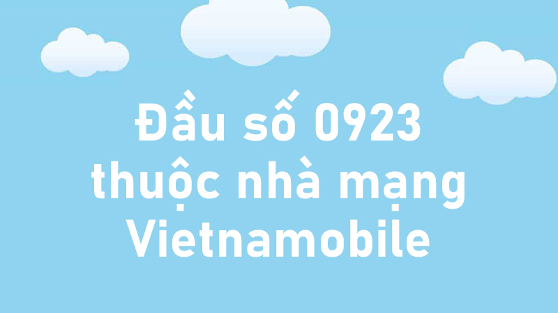 Số 0923 là mạng gì? Số 0923 có ý nghĩa gì? Có phải là số tốt không? - Thegioididong.com